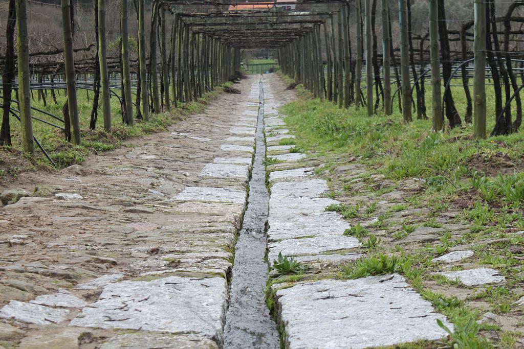 Quinta Da Eira Do Sol Villa Guimarães Eksteriør billede