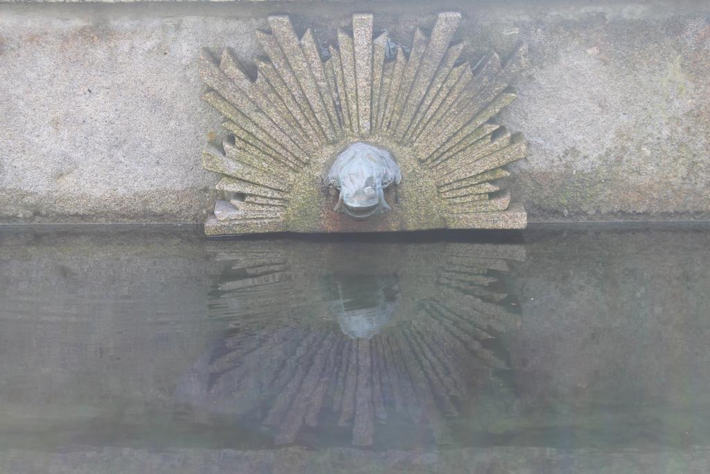Quinta Da Eira Do Sol Villa Guimarães Eksteriør billede