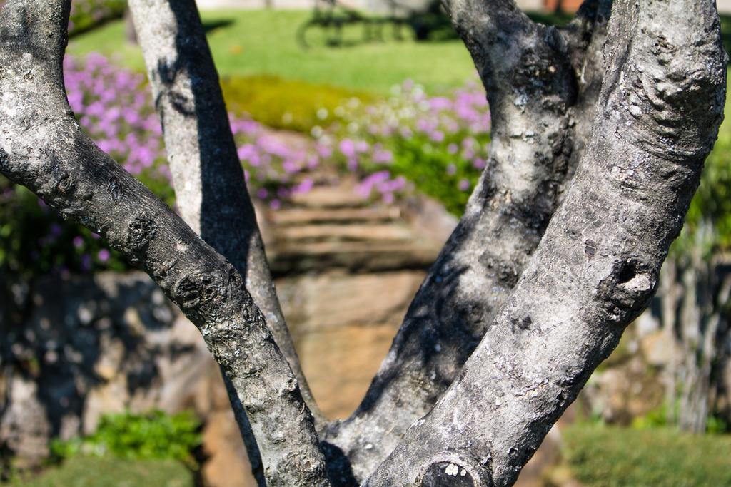 Quinta Da Eira Do Sol Villa Guimarães Eksteriør billede